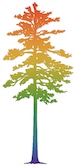 Loblolly Trading LLC