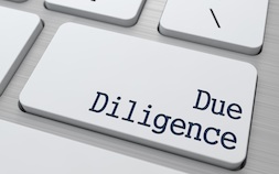 Due Diligence Reports